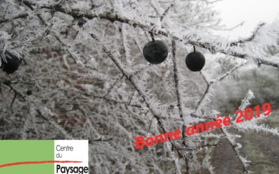 Voeux du Centre du Paysage ASBL