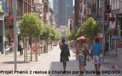 CAHIER DES CHARGES SPÉCIFIQUE DE GESTION DU PATRIMOINE ARBORÉ PLANTÉ : une solution